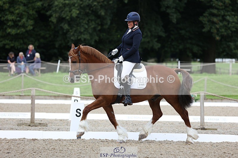 230813-094946-06149 - Cls 11 Elem Bronze Start to 10.50 break