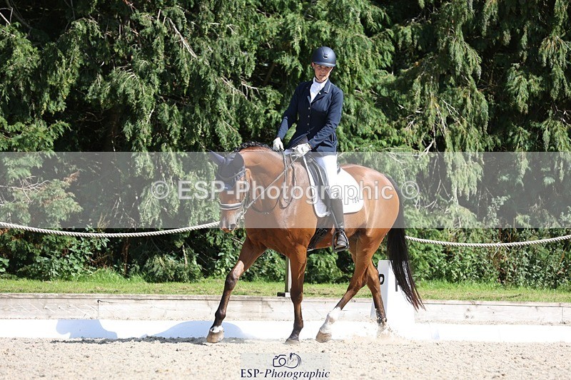 230811-153923-02497 - Cls 1 Prelim Bronze 15.00 to End