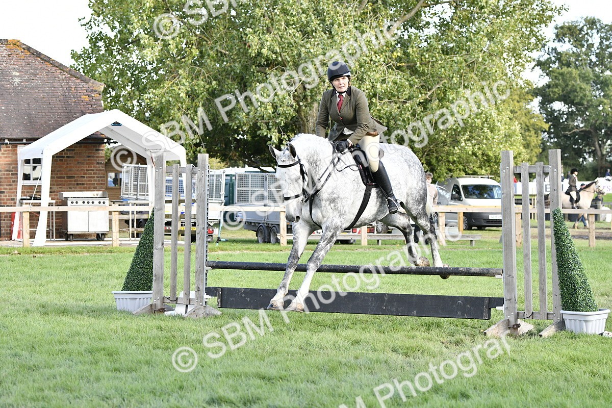SBM_52160 - S35 - Working Hunter & Working Show Horse