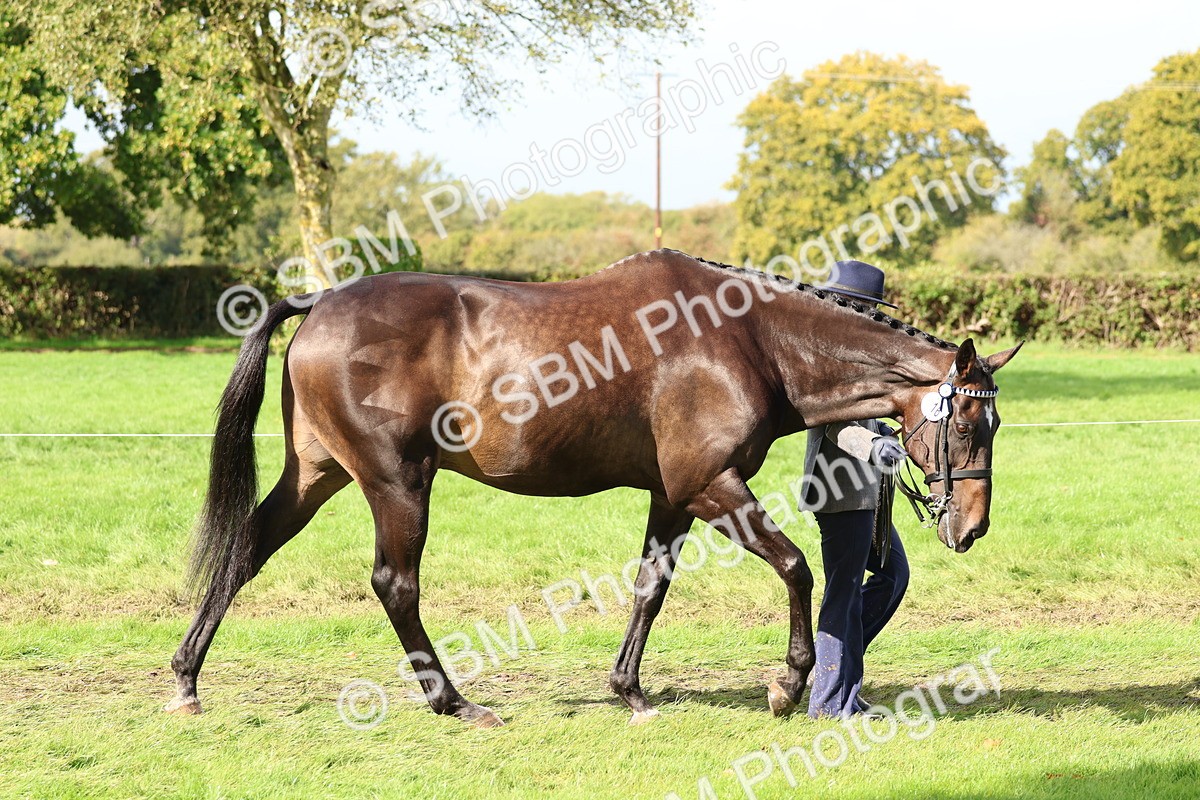 SBM_39411 - S24 - Young Veteran In Hand