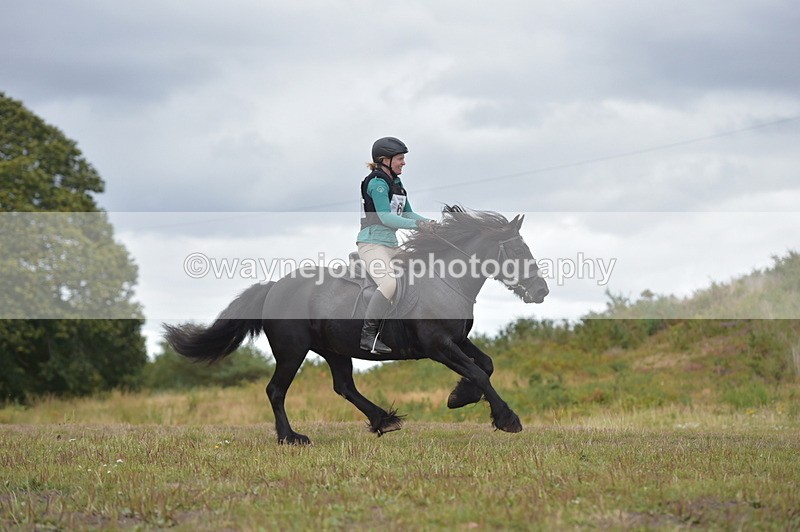 NGP_2768 - XC Time 11:37 to 11:57