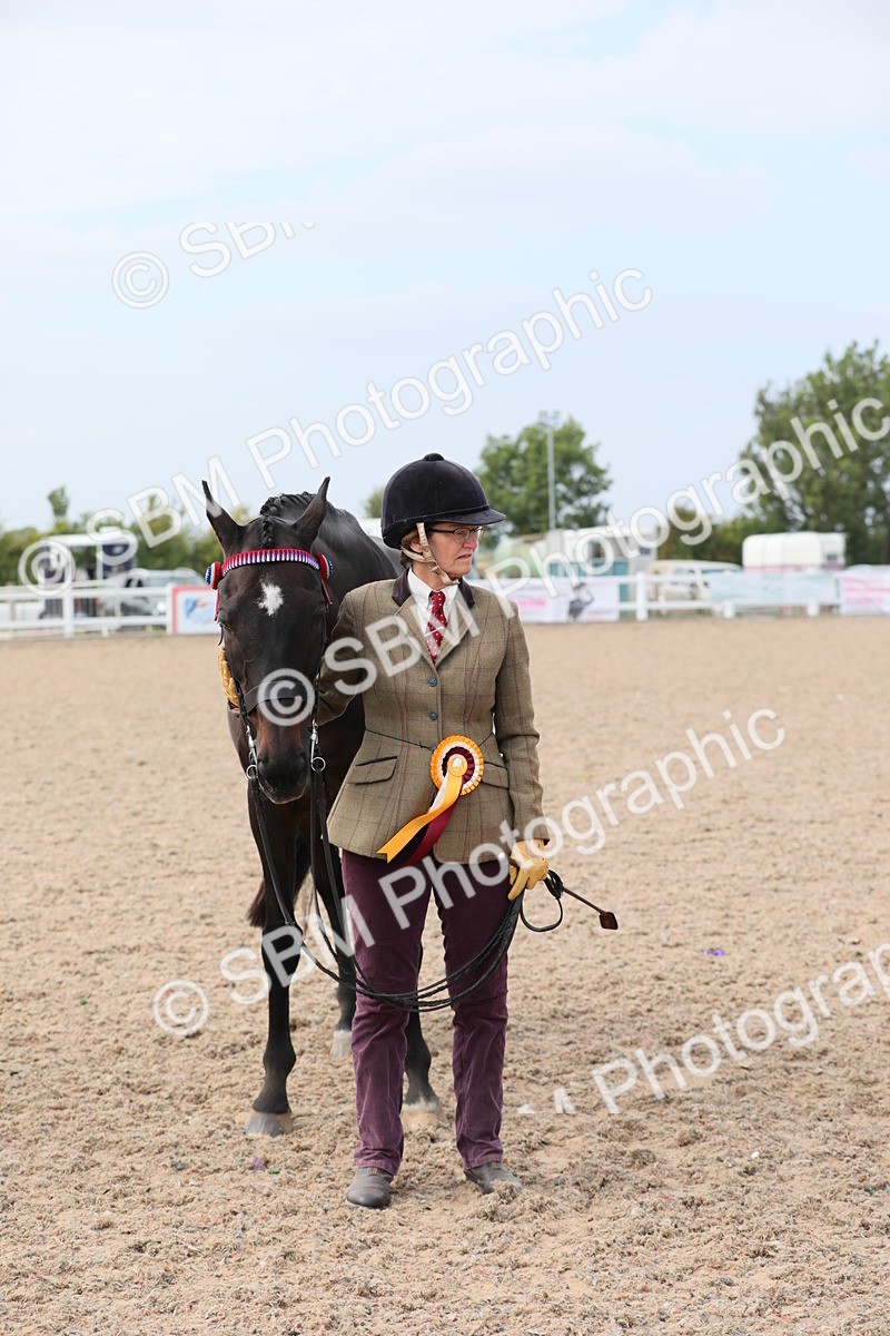 SBM_15972 - Class 313 IH Retired Racehorse