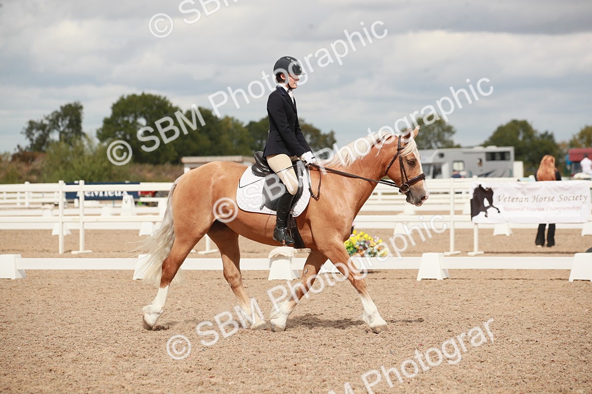 SBM_05884 - Class 32 - Novice 1