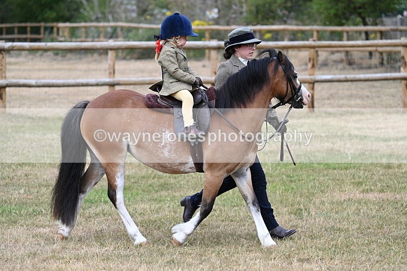 WJ7_9643 - Class 1 Lead Rein Pony