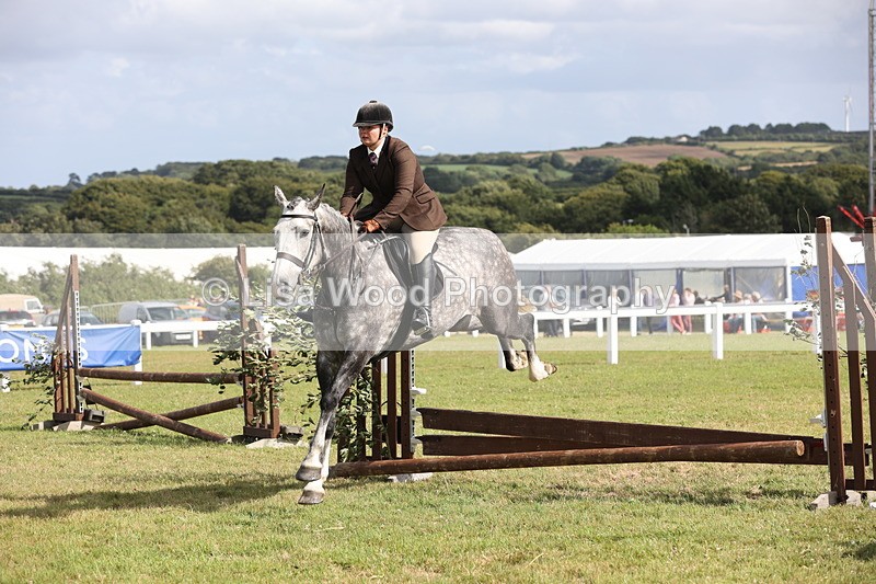 JPP_2685 - Class 20: Working Hunter 70cm