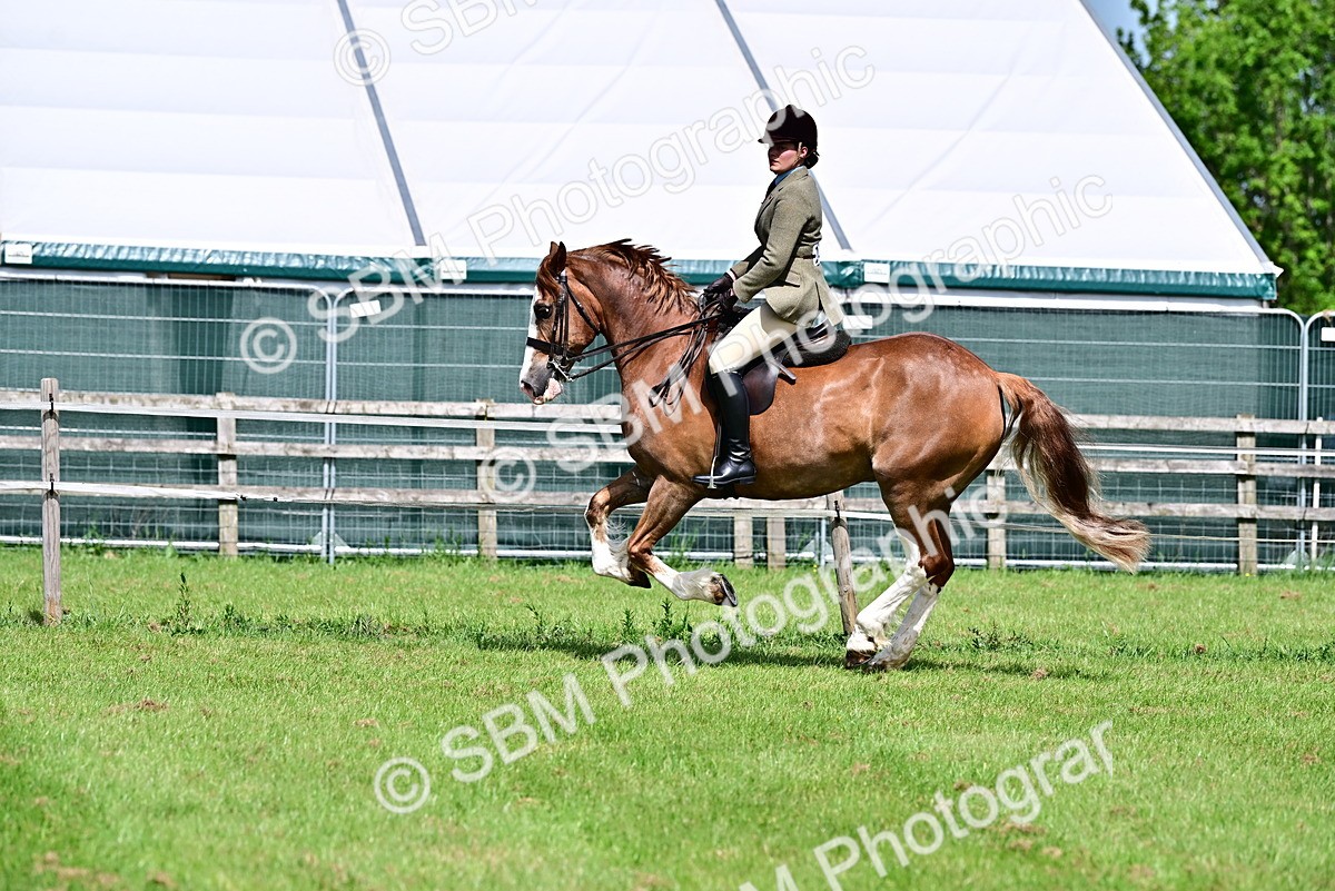 SBM_03753 - Class 58 - TSR  Ridden Veteran Amateur of the year