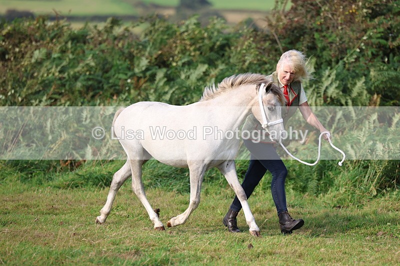 3E7A3149 - Class 12: M & M Small Breeds