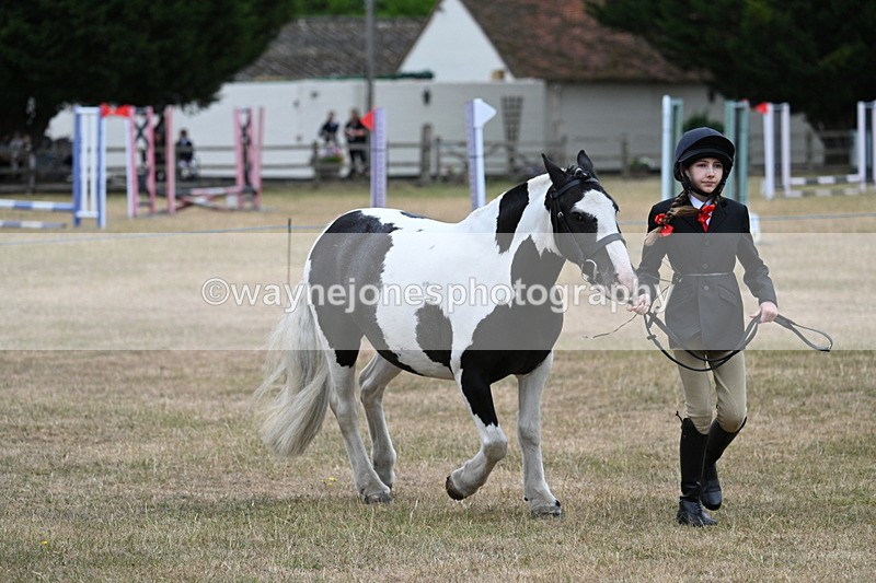 WJ7_8288 - Class 4 Prettiest Mare up to 14.2hh