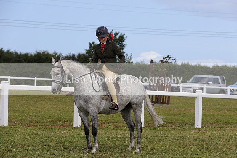 1X9A4041 - Class 32: Show Hunter Pony 153cm and under
