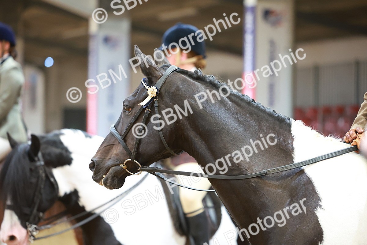 SBM_09694 - Class 102 - HOYS Veteran Qualifier - Ridden Veteran