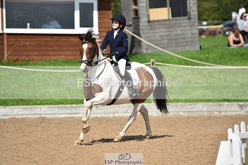 230902A-135418-01527 - Cls 3B Pony Medium 90cm