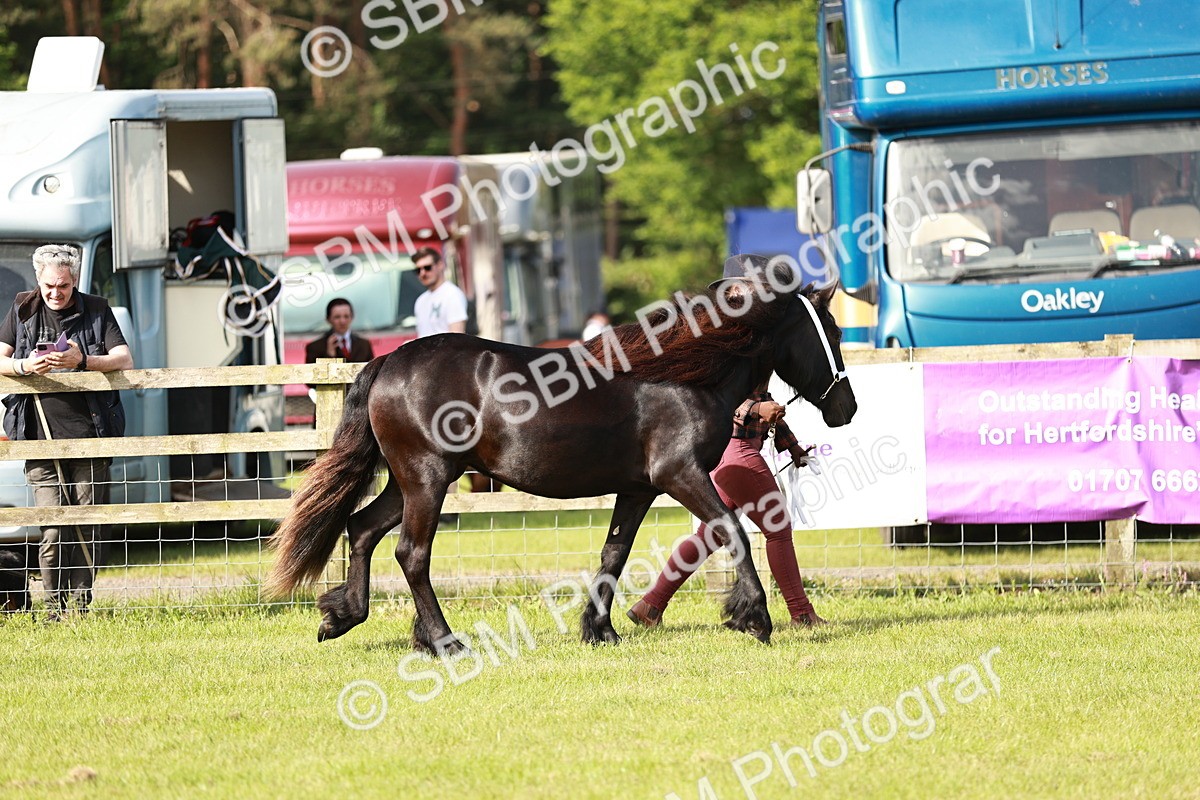 SBM_00673