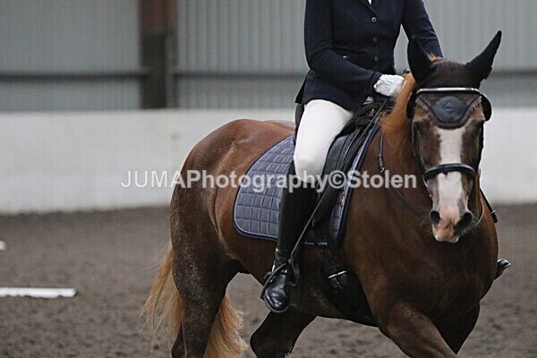 SIAL5648 - CAbin Dressage 5th july 2025