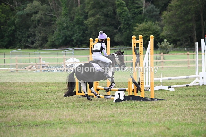 WJ6_0347 - 40cm Time 10:00 to 10:28