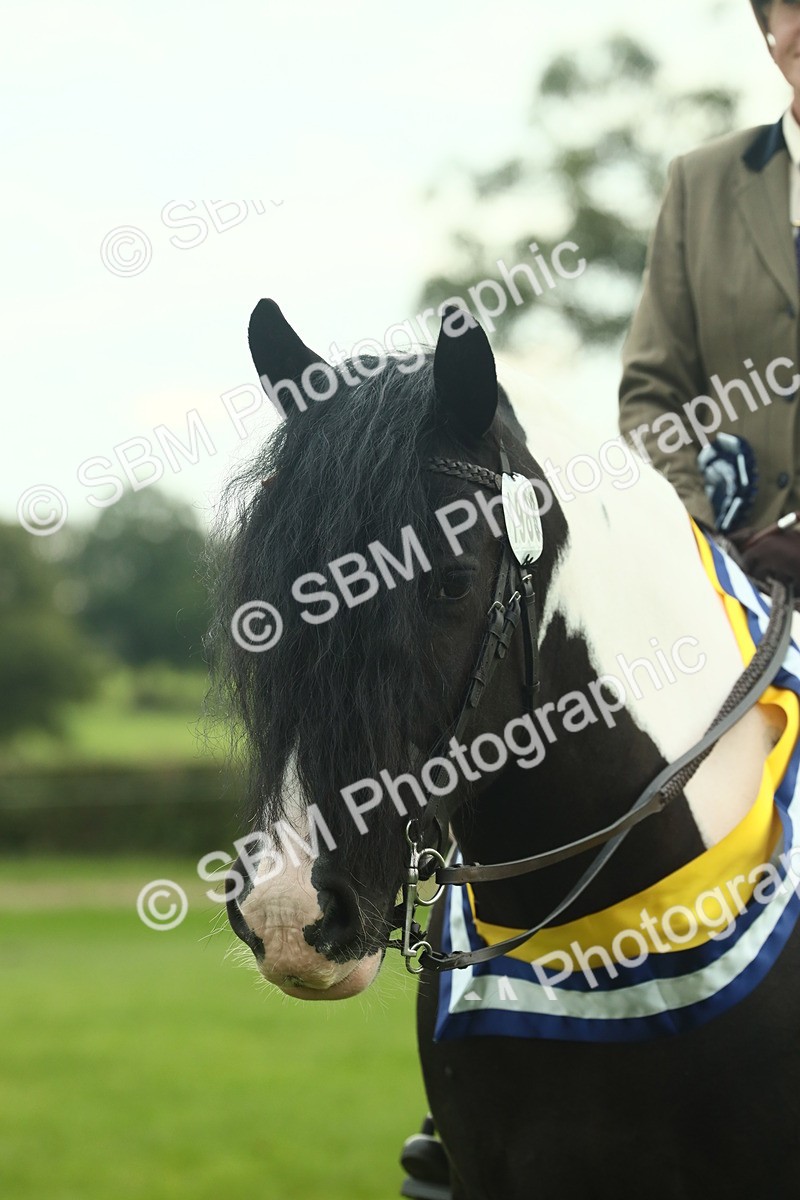 SBM_75208 - Super Supreme Championship