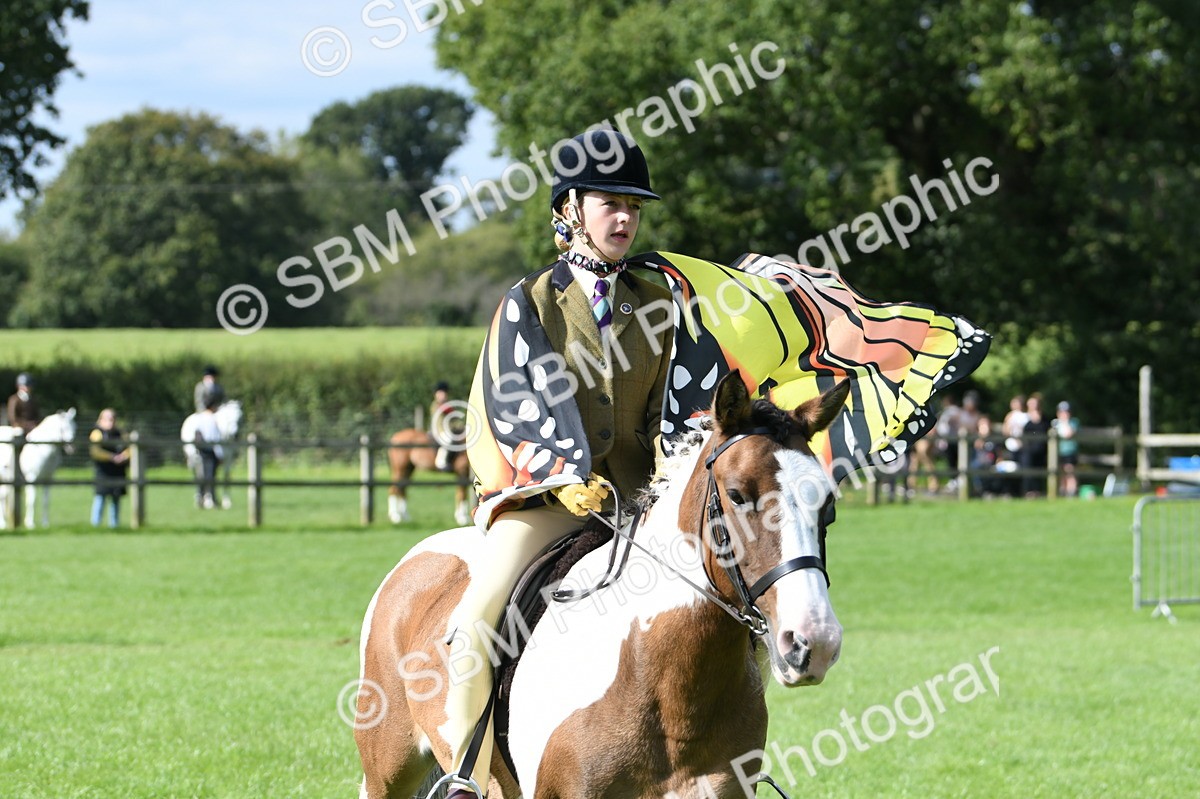SBM_47107 - S12 - Family Horse & Pony