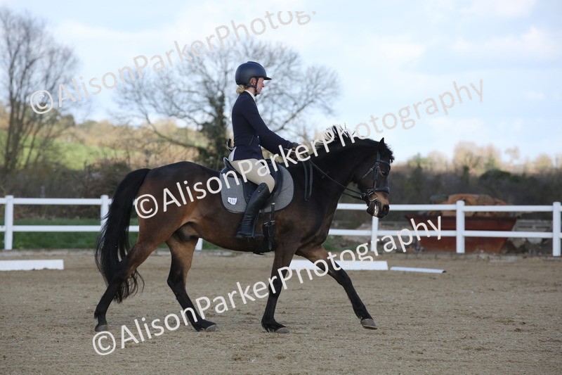 20260314-4241 - DR5 - Novice 1