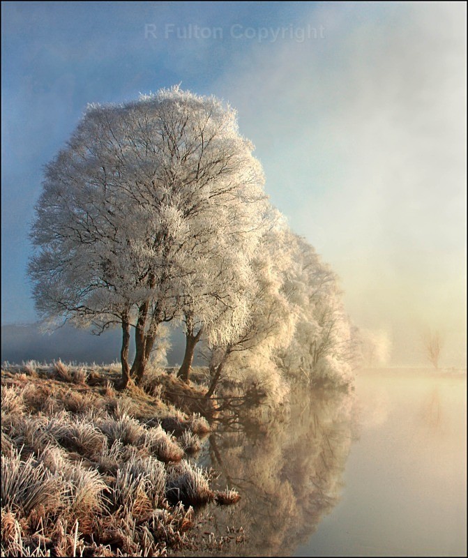 Winter Light - Landscapes