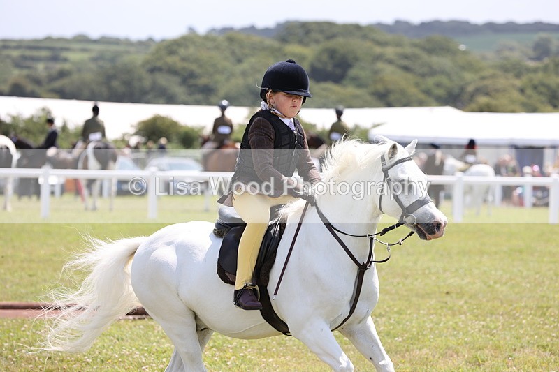 JPP_1844 - Class 18: Tiny Tots Working Hunter Pony
