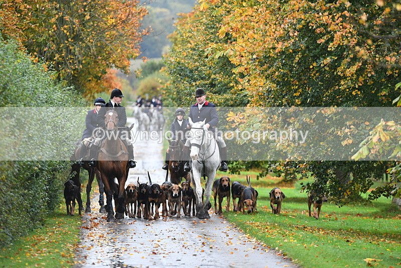 WJ5_6053 - B&B walk back for Hunt Tea !