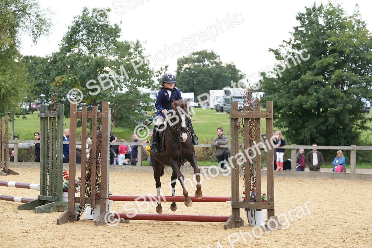 SBM_74545 - J4 - Mini Tour Junior Pony 45cm Championship