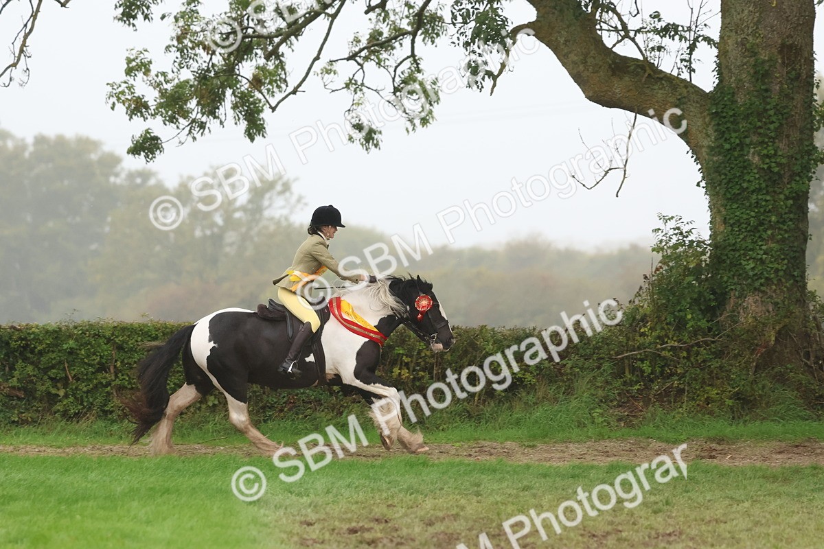 SBM_73228 - Super Supreme Championship(Sun)