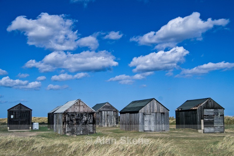 DSC02882 - Norfolk