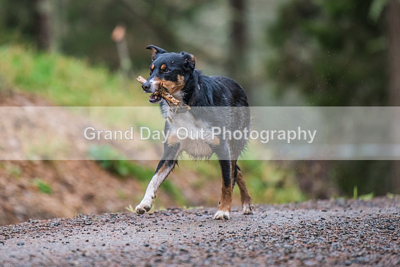 Glentress 21  10K-1612 - High Terrain Events Glentress 21 & 10K Trail Races Saturday 18th November 2023