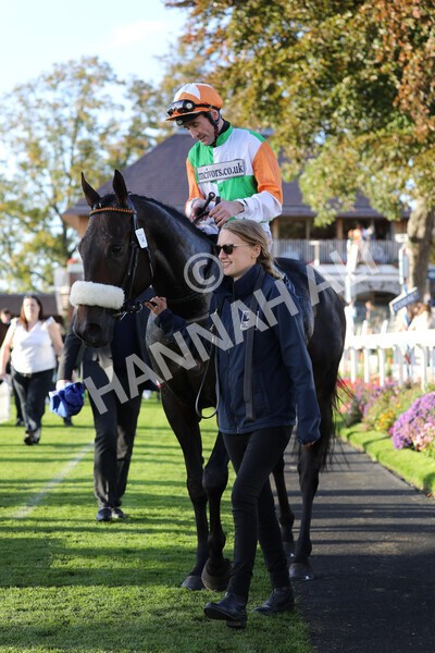 yr08102022r7-52 - Race 7 5.00pm The Coral Gets You Closer To The Action Stakes