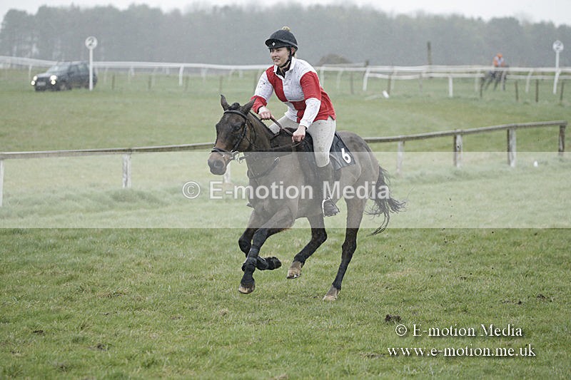 PtP 150320 0044 - New Forest Point-to-Point Larkhill 15/03/20