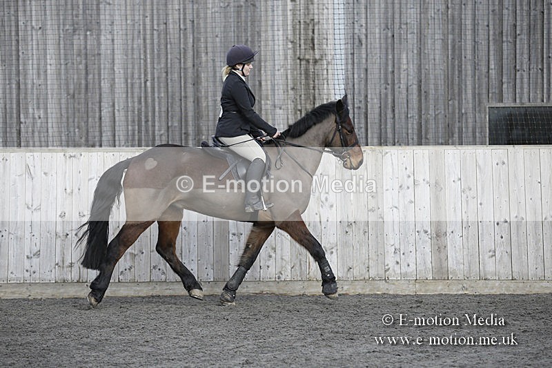 BVRC 050320 0087 - Bourne Valley riding Club Show Jumping Tidworth 08/03/20