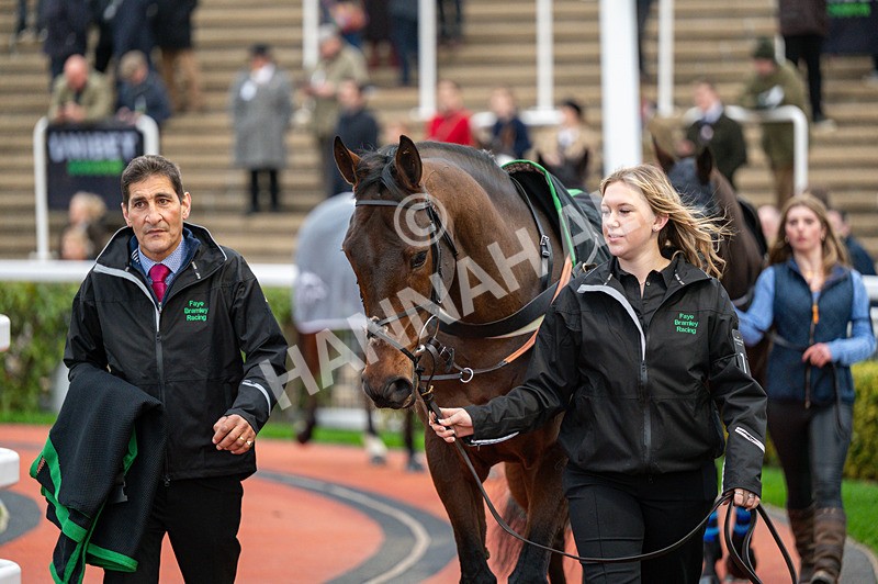 161125-Race 5-No Ordinary Joe-1669 - Race 5