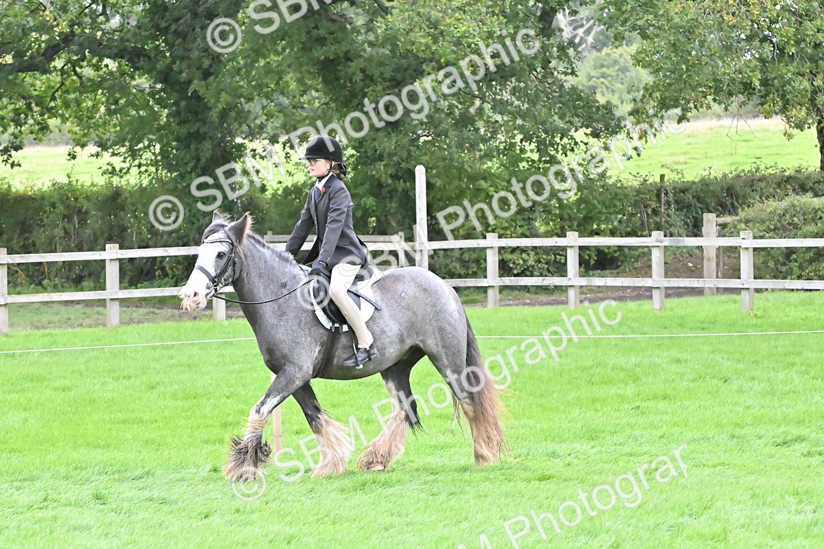 SBM_42895 - S12 - Family Horse & Pony