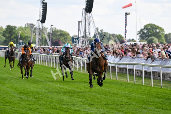 280625-Race 5-Turquino-0781 - Race 5 4.15pm Al Basti Equiworld Dubai Handicap