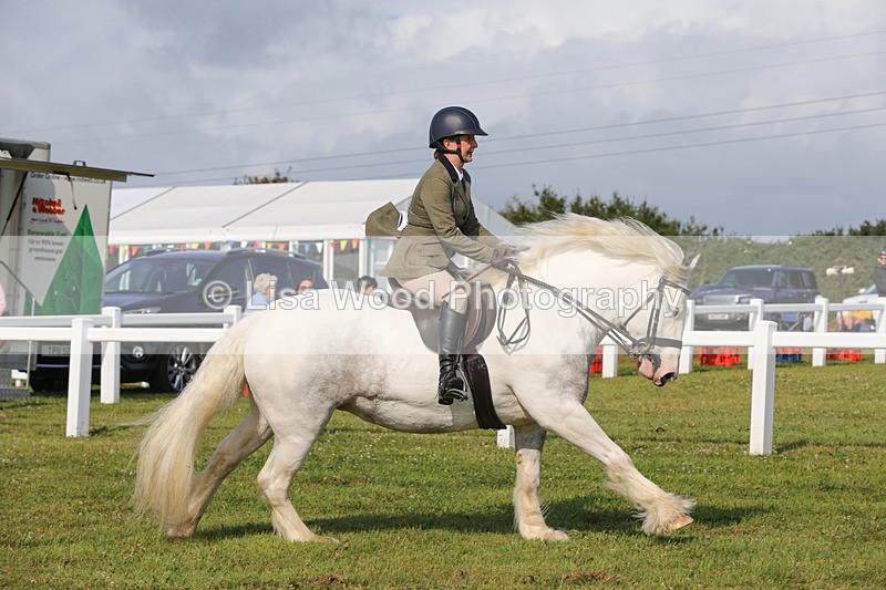 1X9A3385 - Class 28: Ridden Native/Trad Coloured Pony