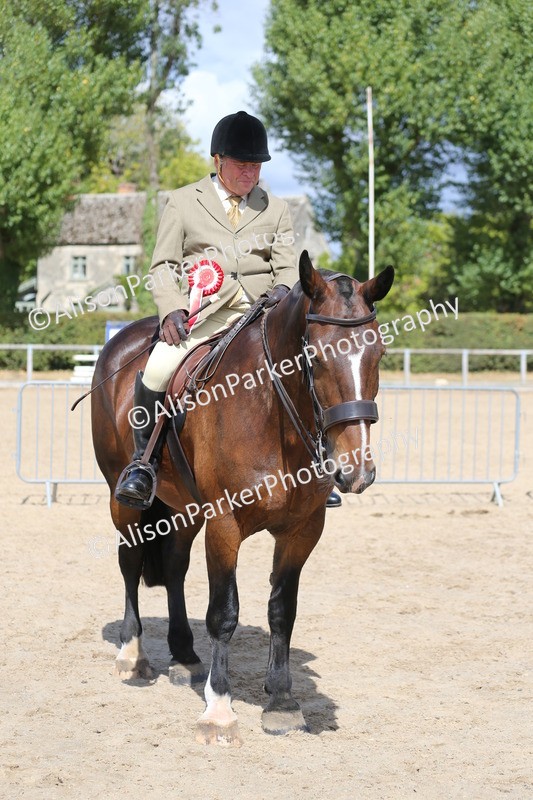 20260831-2797 - Class 16 and 17- Ridden Cob and Hunters
