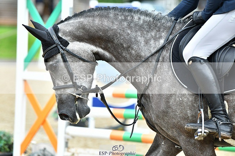 230715-093022-32242 - Cls 84 4 yr old Champ