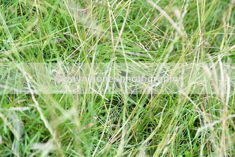 WJ5_0338 - Time at Jump 10:44 to 11:31