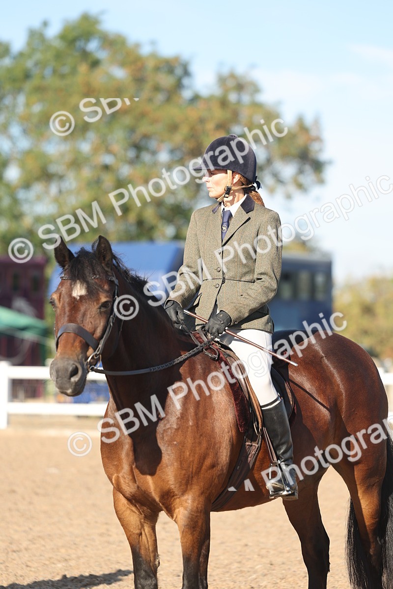 SBM_11084 - Class 302 - Ridden M&M Large Breeds