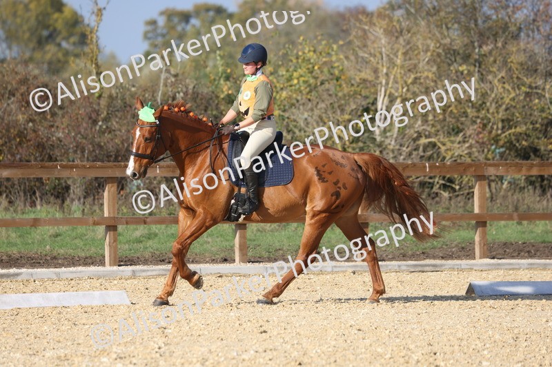 L20261031-0060 - Class 5 - Novice 2