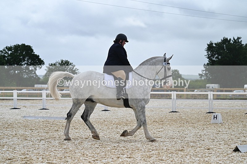 WJ7_6019 - Time 12:01 to 12:22