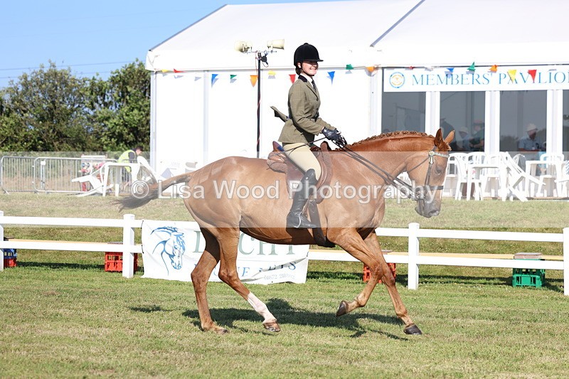 3E7A5342 - Class 2: Rising Star Large Hack/Riding Horse