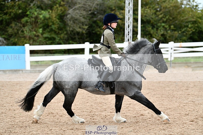 241013B-134933-01384 - Cls 4 60cm