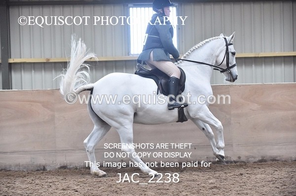 JAC_2238 - CLASS 2 Novice Working Hunter