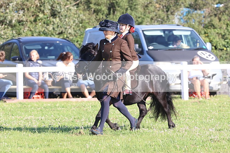 JPP_0850 - Class 16: Cornish Combination Leading Rein