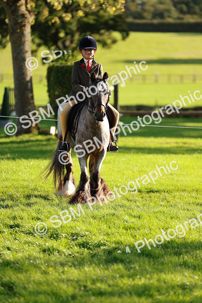 SBM_28723 - S7 - Novice & Newcomer Ridden Pony
