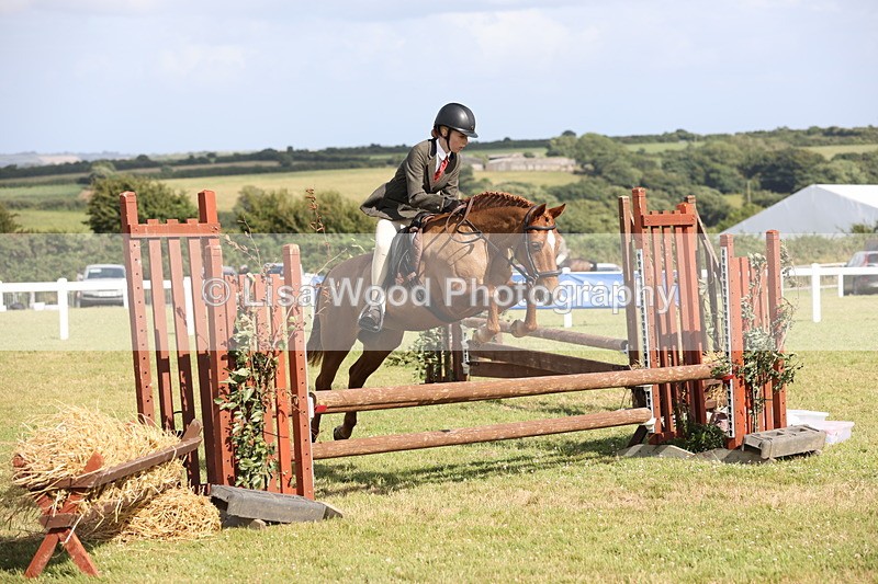 JPP_2734 - Class 20: Working Hunter 70cm