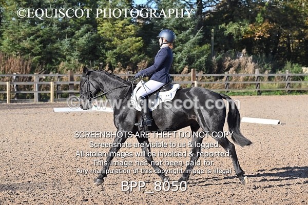 BPP_8050 - LONG ARENA