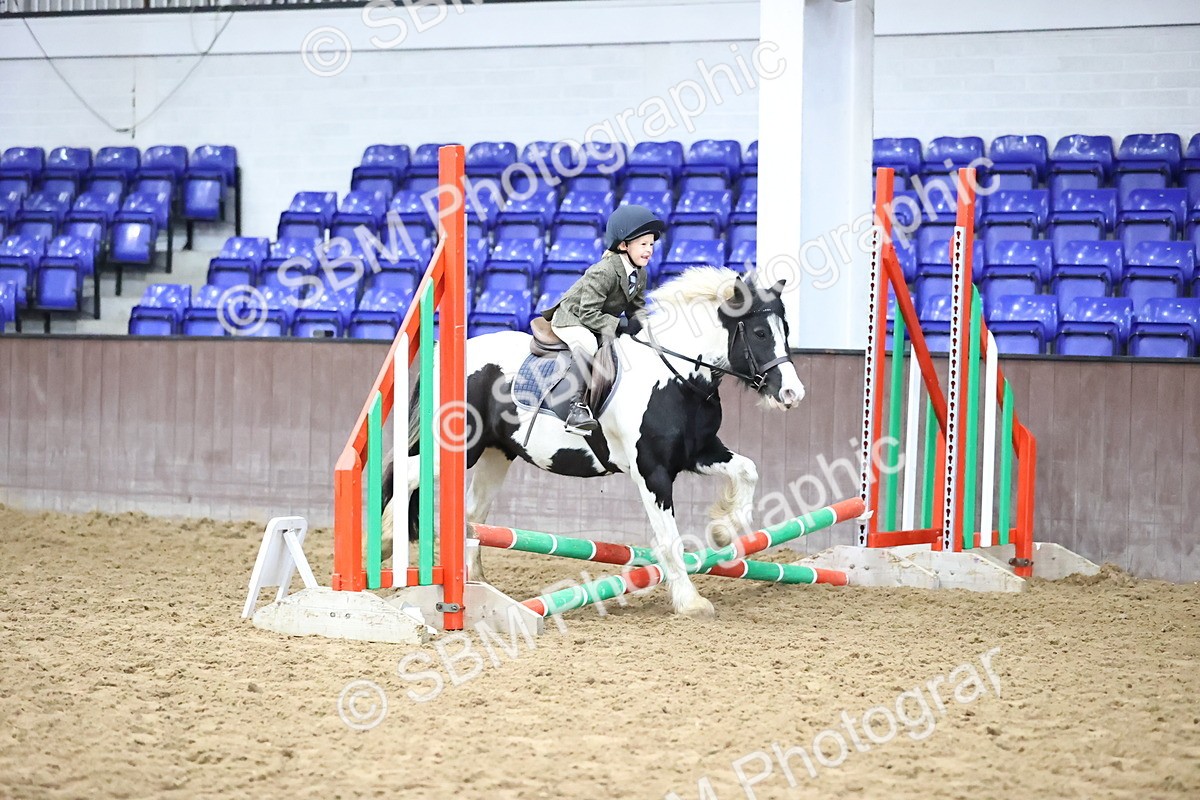 SBM_000177 - Class 2 - The Rug Lady 40cm Area 12 Championship Qualifier