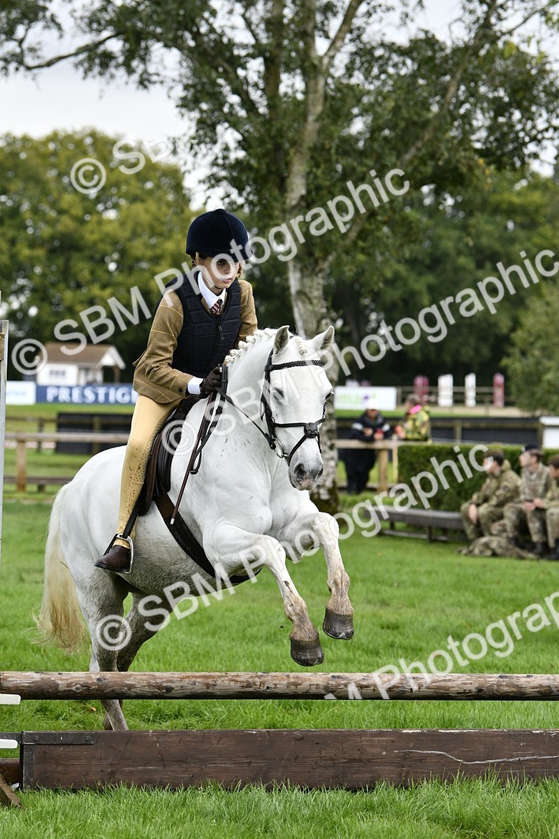 SBM_41555 - S32 - Mountain & Moorland Working Hunter Pony